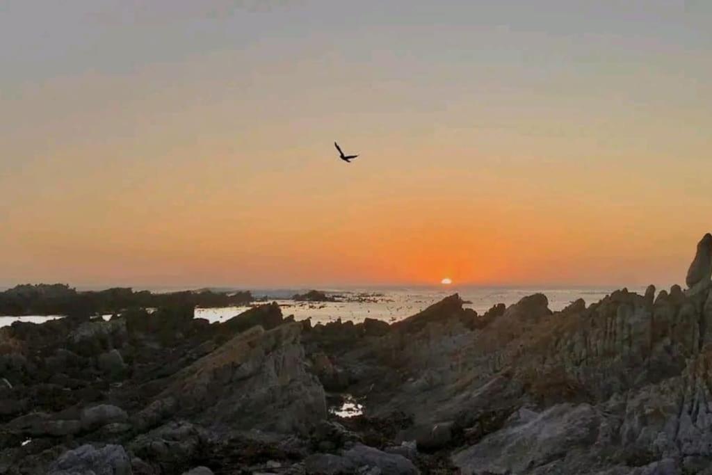 Hermanus Sea View Room Екстериор снимка